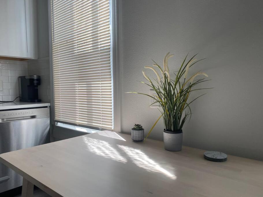 Apartment Chic Steps From Armature Works & Downtown Riverwalk